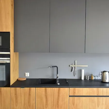Modern, Big Apartament Near Kazimierz District Appartement *